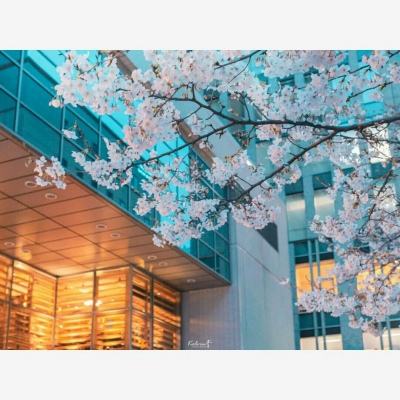 星空体育官方网站app下载截图