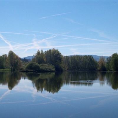 百姓彩票下载手机版