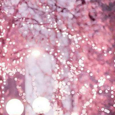 星空体育官方网站app下载